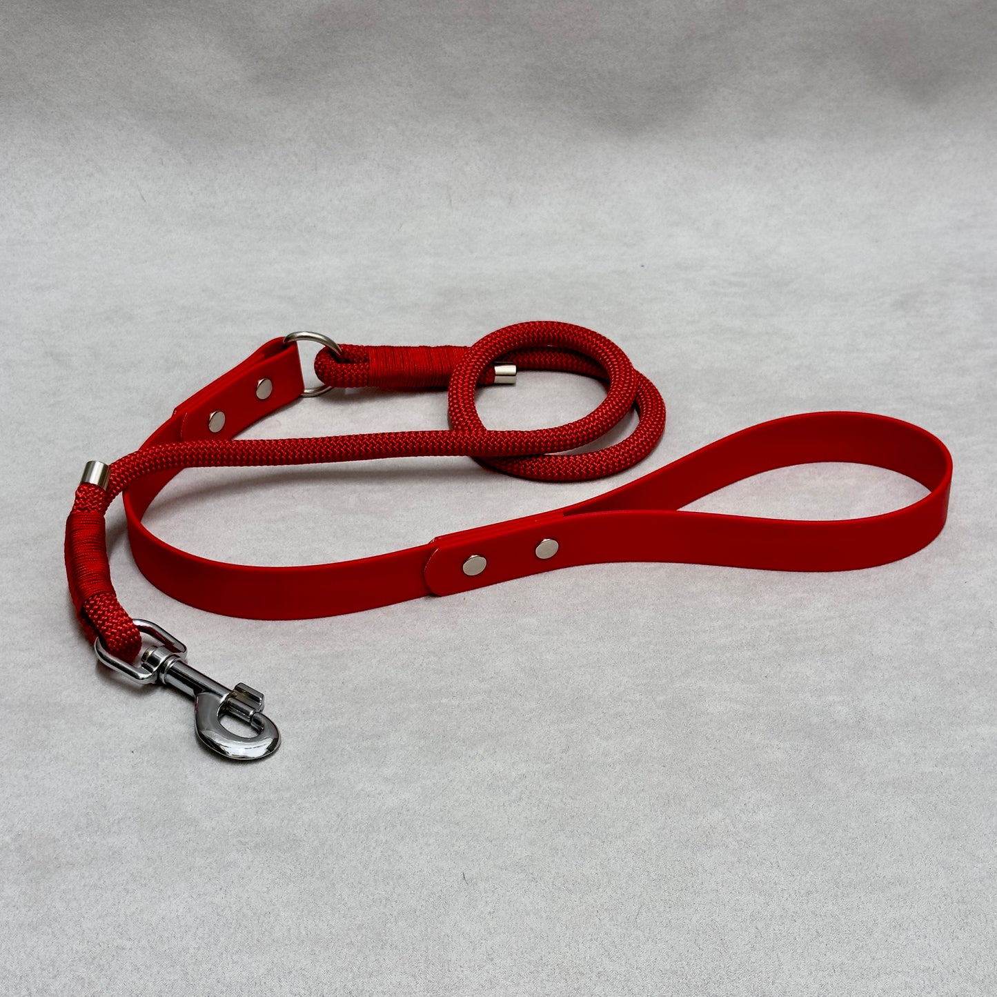 Single color rope and biothane 25mm leash