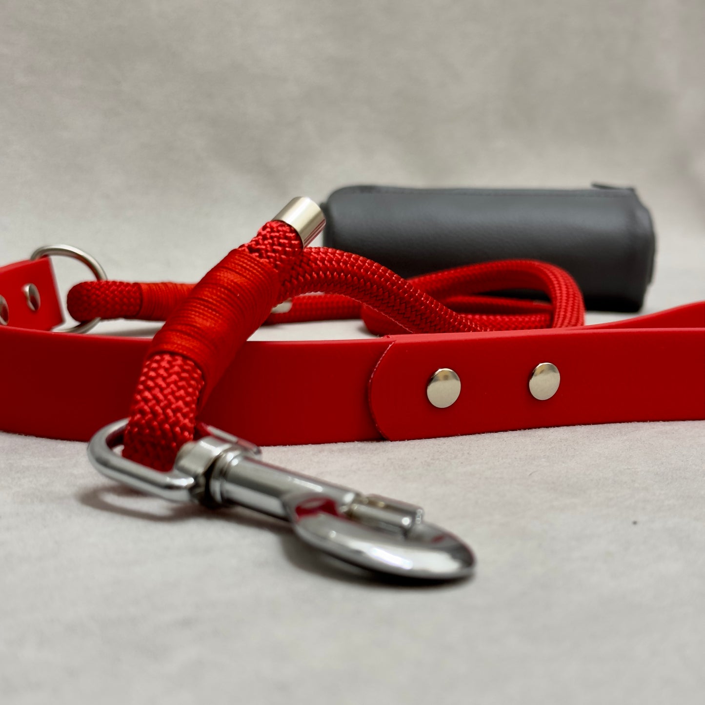 Single color rope and biothane 25mm leash